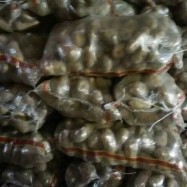 多倫土豆代收代銷與商品房代購代銷服務解析